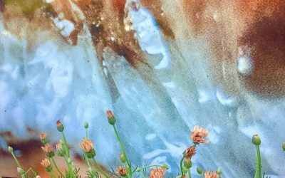 26 en 27 april zijn we extra open